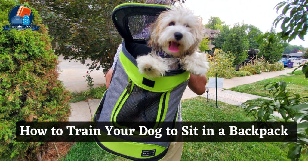 How to Train Your Dog to Sit in a Backpack