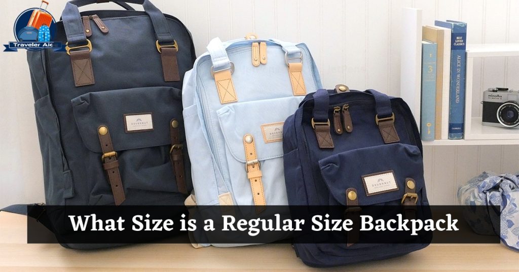 What Size is a Regular Size Backpack Best Guide 2023