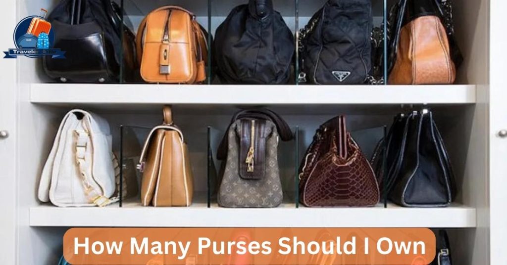 how-many-purses-should-i-own-best-guide-2023