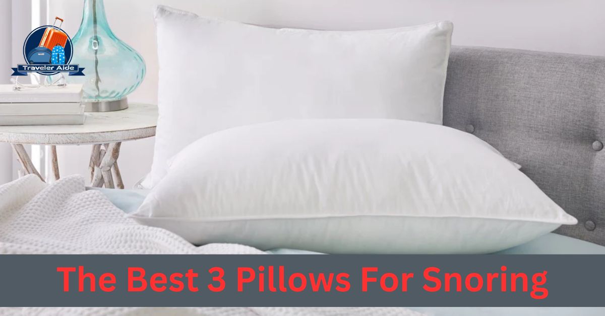 Neck Pillows For Snoring [Expert Guide 2023]