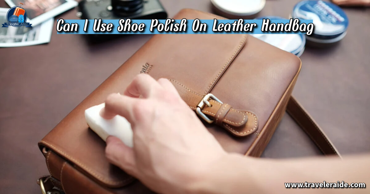 Can I Use Shoe Polish On Leather Handbag