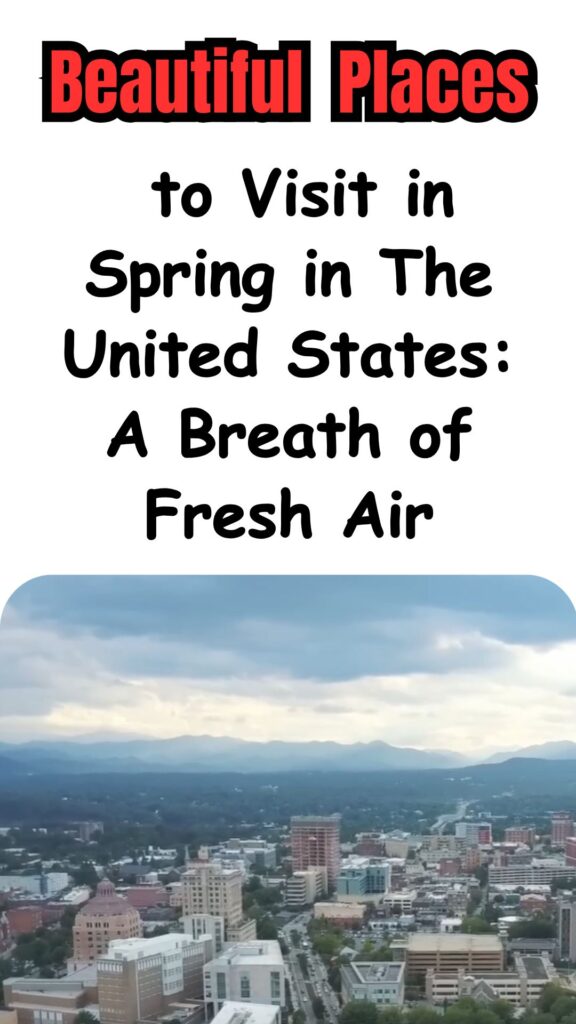 Scenic springtime landscape in the United States with blooming flowers, green trees, and clear blue skies, showcasing the beauty of nature during spring.