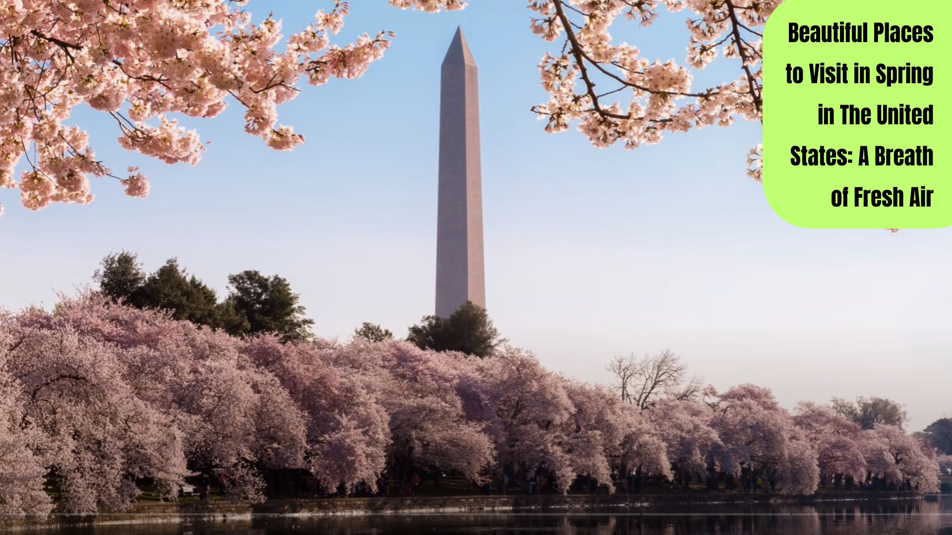 Blooming spring landscape in the United States with flowers, mountains, and blue skies