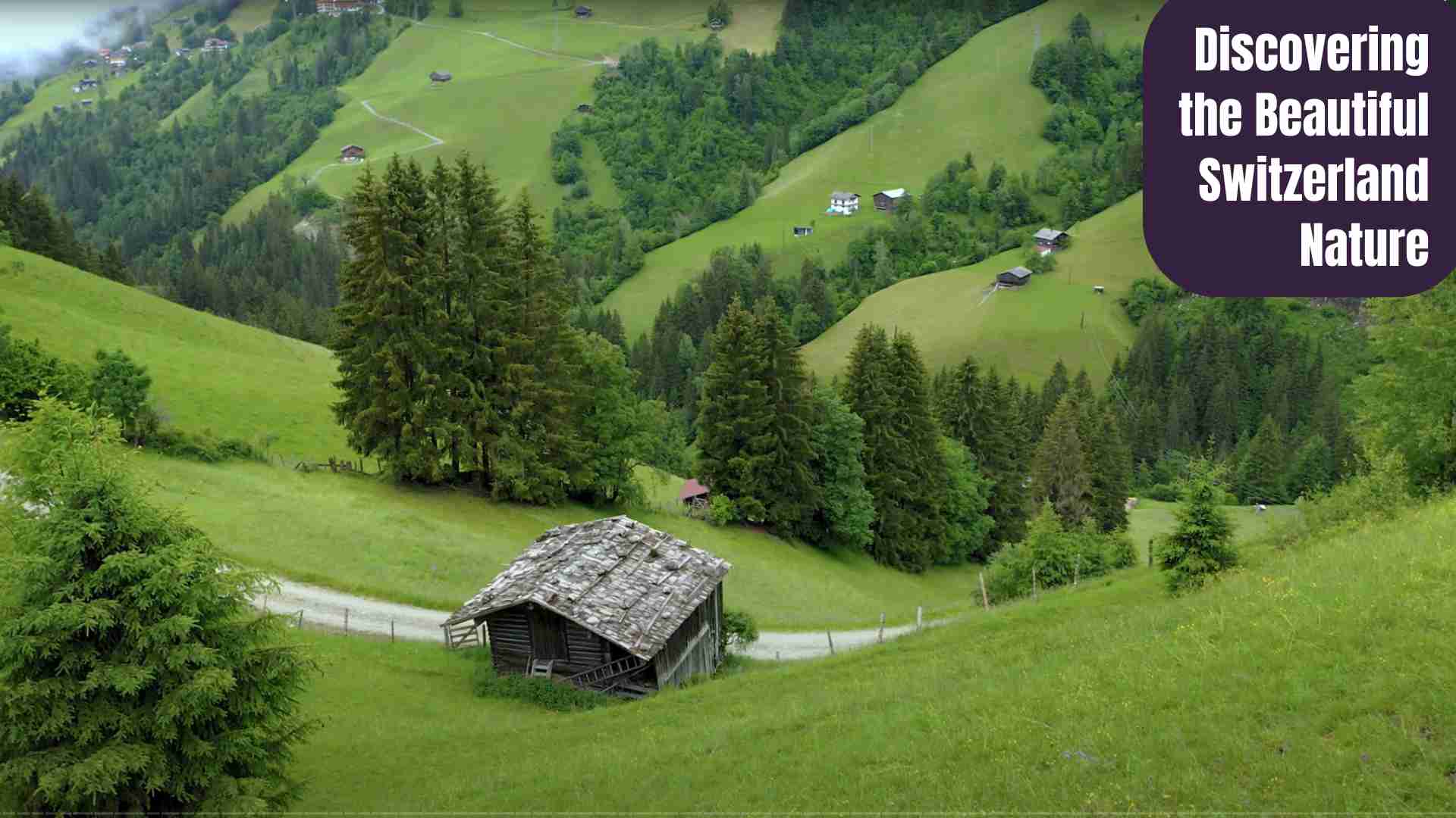 Panoramic view of the Swiss Alps with green valleys, blue lakes, and snow-covered peaks under a clear sky