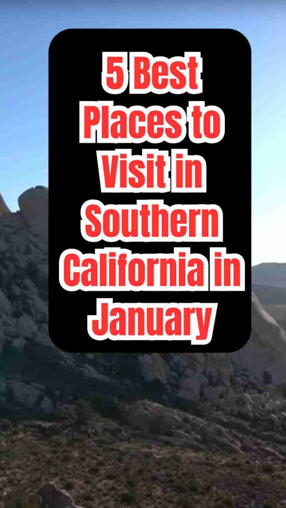 Beautiful Southern California destinations in January, featuring Joshua Tree desert landscapes, Laguna Beach cliffs and art, snowy Big Bear Lake, sunny San Diego coast, and Palm Springs palm-lined streets.