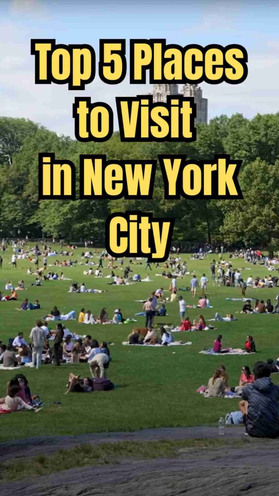 People walking in Central Park, visitors enjoying the High Line, neon lights of Times Square, MoMA art gallery exhibits, Rose Main Reading Room at New York Public Library, colorful murals in Bushwick, outdoor live music performance in NYC park, panoramic views from Brooklyn Bridge.