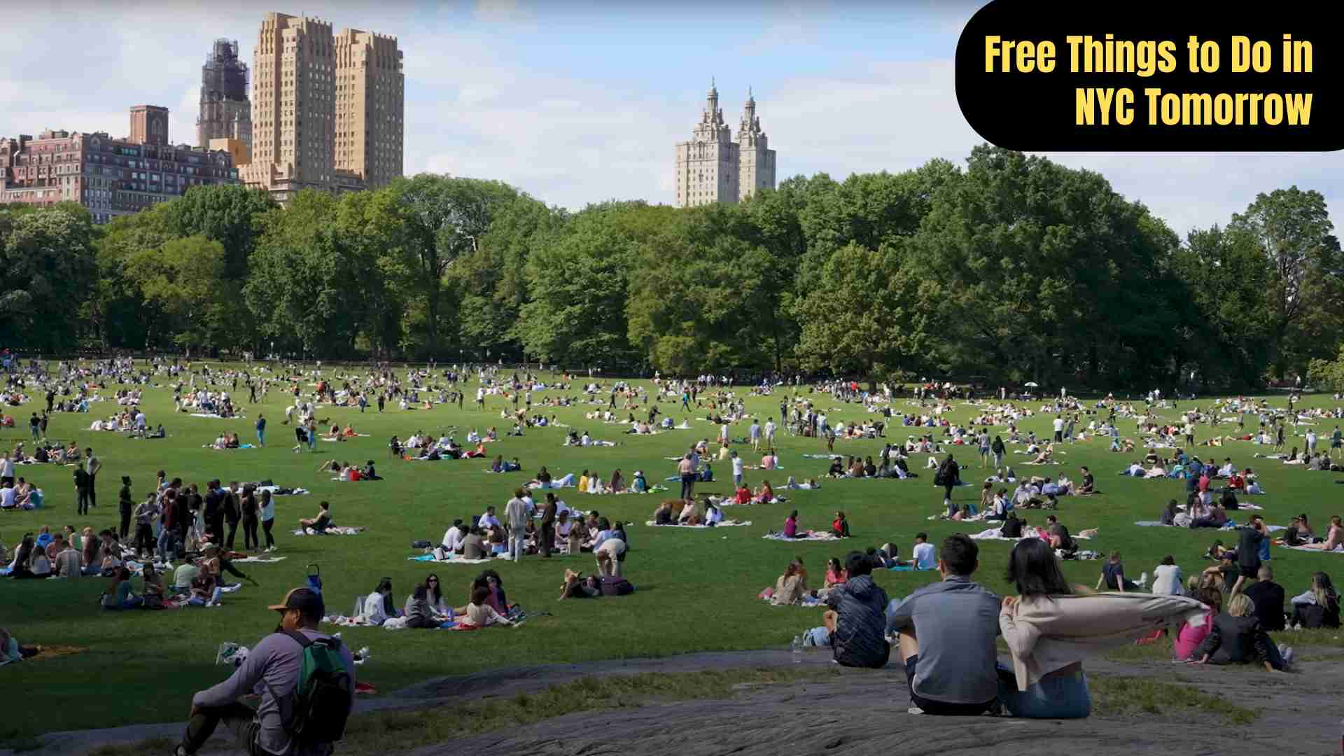Strolling through Central Park, walking the High Line, Times Square neon lights, MoMA art exhibits, Rose Main Reading Room at NY Public Library, colorful street art in Bushwick, live music in NYC parks, Brooklyn Bridge skyline views.